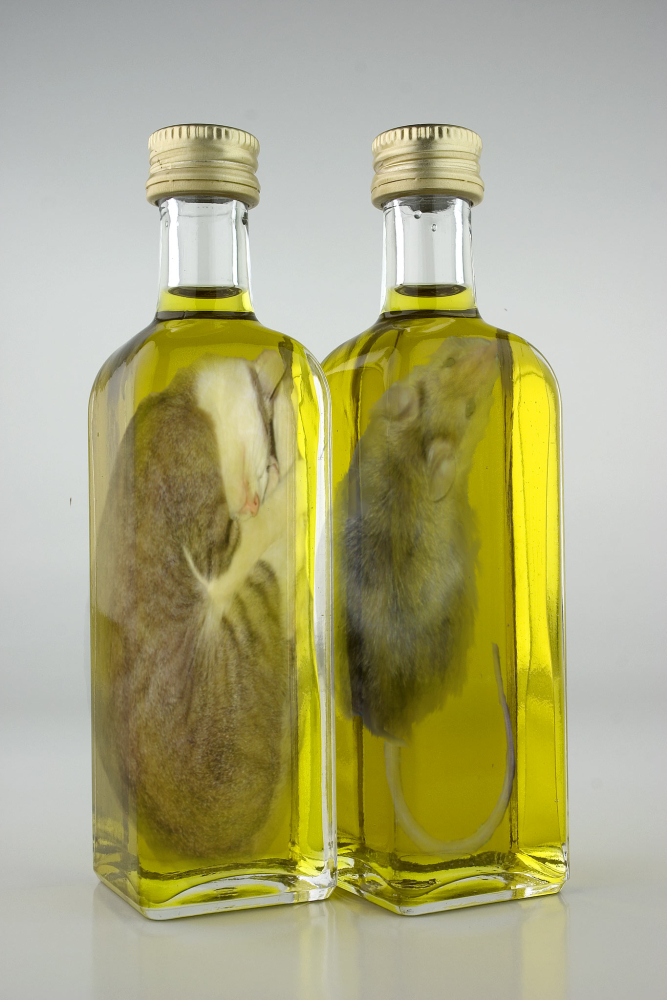 Diseño de Photoshop por fuzzylogix6969 para DesignCrowd (Community Contests) | Diseño #8988079