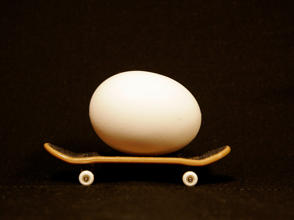 Photography by pinkfly for DesignCrowd (Community Contests) | Design #8992662