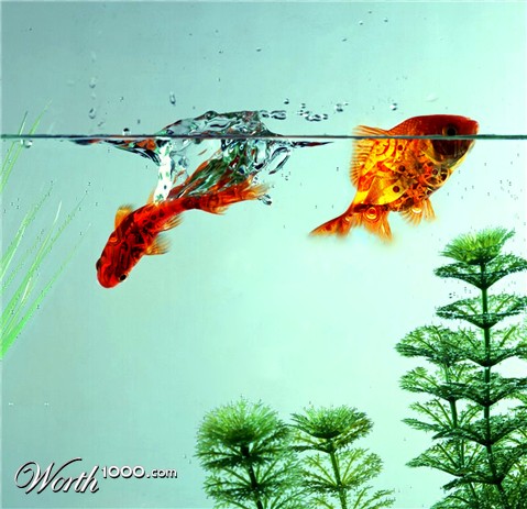 Photoshop Design by alexkouts