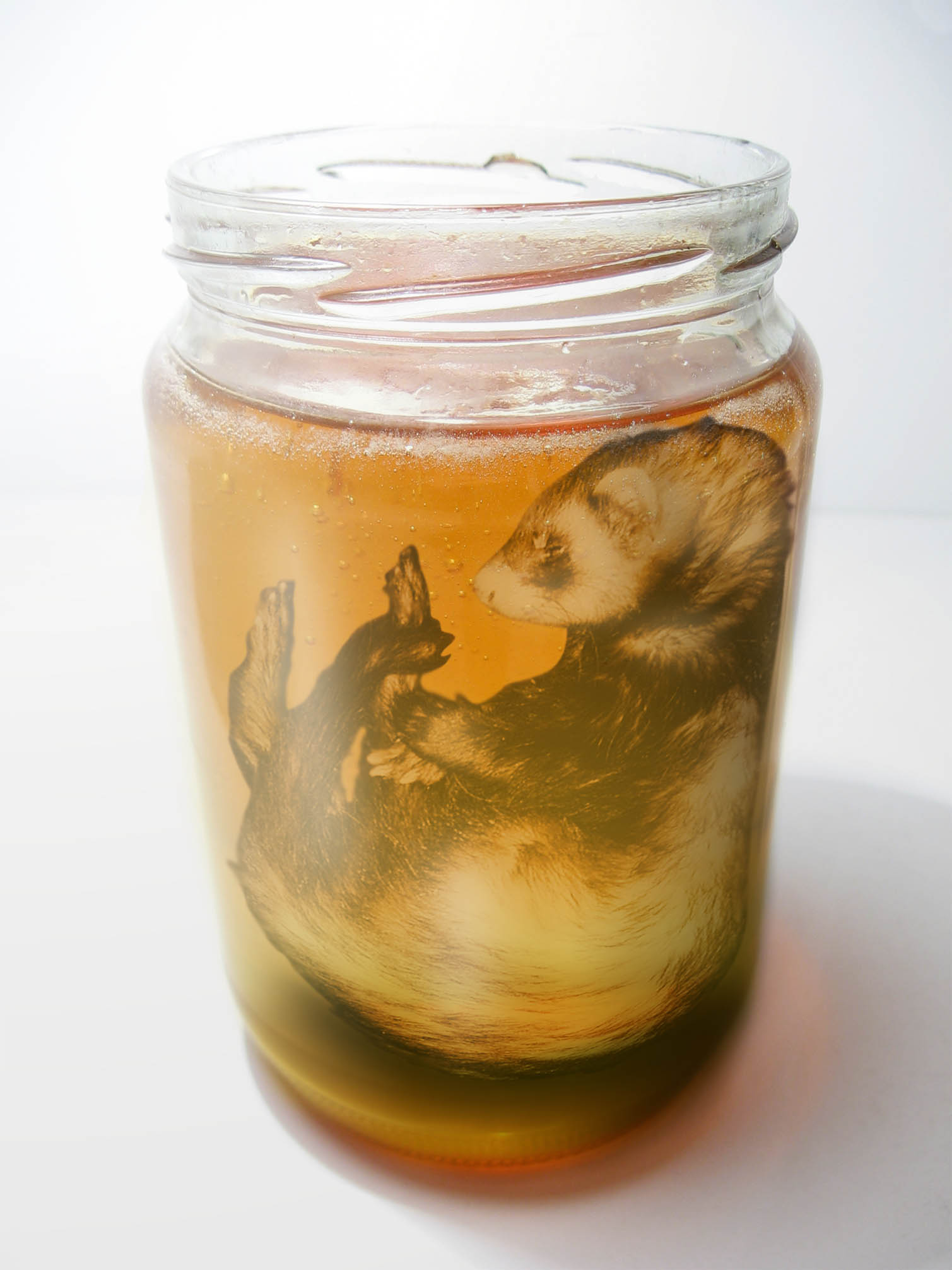 Photoshop Design by savagejon123 for DesignCrowd (Community Contests) | Design #8988086