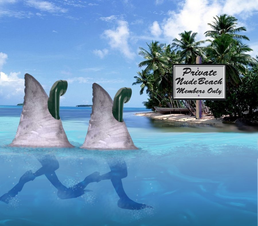 Design Photoshop par LadyHawk771 pour DesignCrowd (Community Contests) | Design #8983398