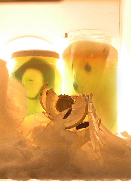 Design Photoshop par subhani pour DesignCrowd (Community Contests) | Design #8988101