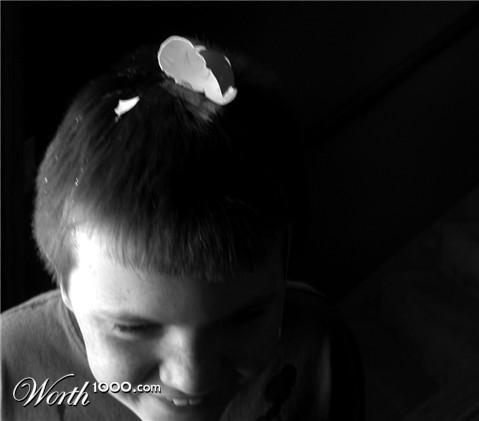 Photography by copierguy43215