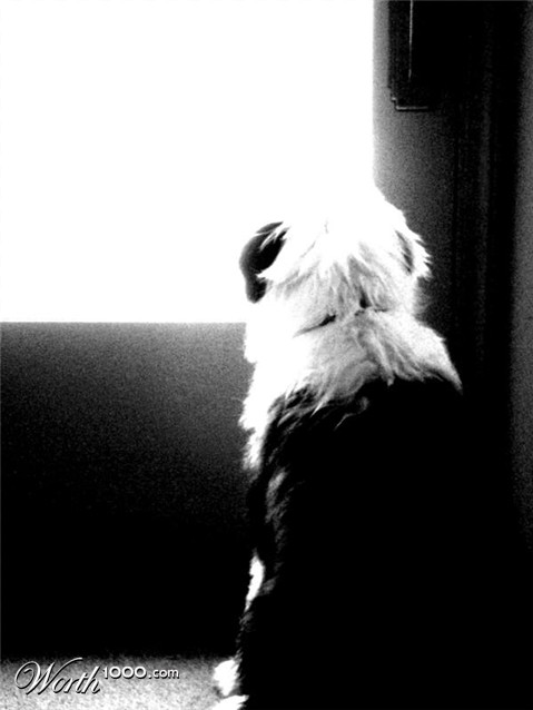 Photography by nailedplaything