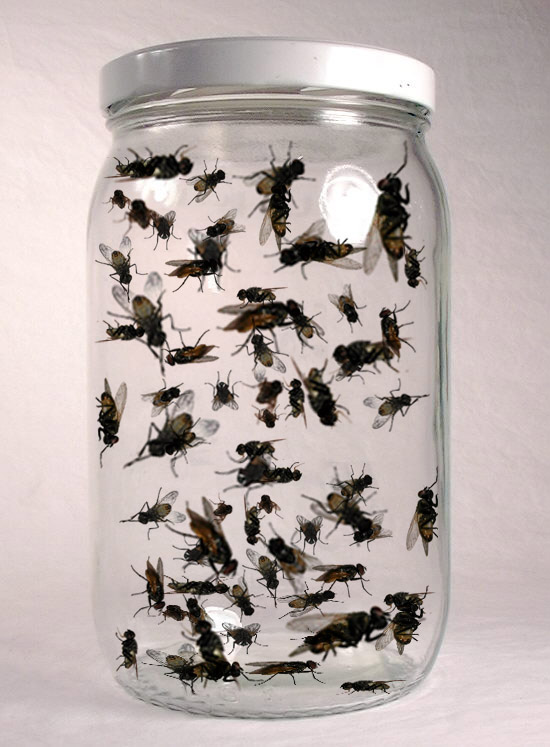 Photoshop-Design von Angelicangellover für DesignCrowd (Community Contests) | Design #8988108