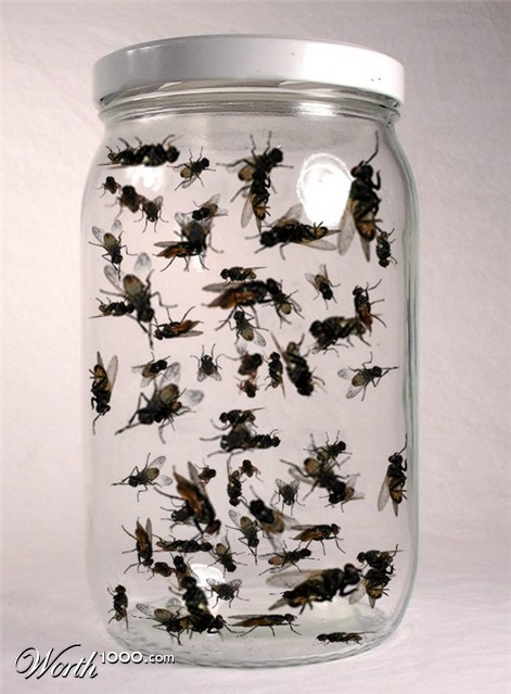 Photoshop Design by Angelicangellover