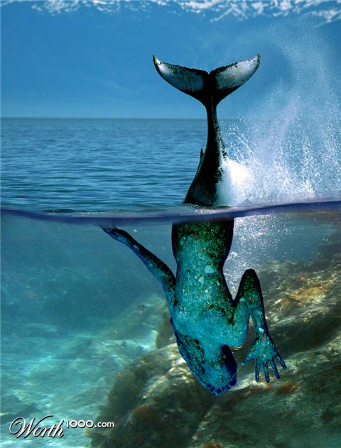 Photoshop Design by kahuahua