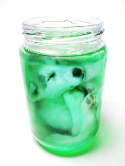 Design Photoshop par matstake pour DesignCrowd (Community Contests) | Design #8988099