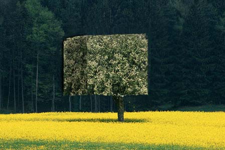Diseño de Photoshop por samalamus para DesignCrowd (Community Contests) | Diseño #8989663