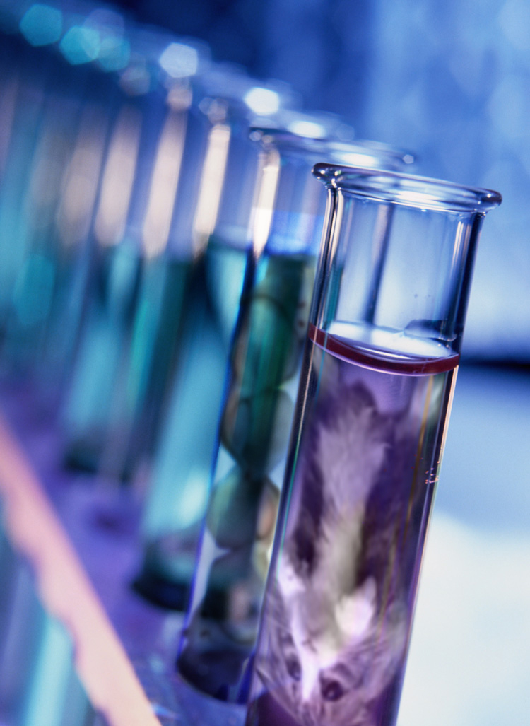 Design Photoshop par Adhamserry pour DesignCrowd (Community Contests) | Design #8988148