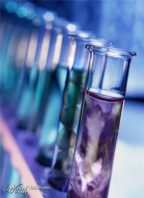 Photoshop Design by Adhamserry