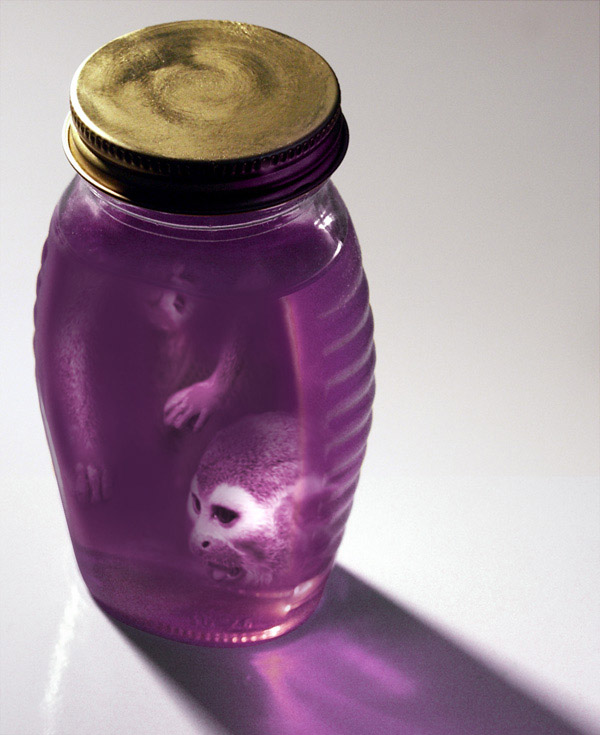 Photoshop Design by Macido for DesignCrowd (Community Contests) | Design #8988174