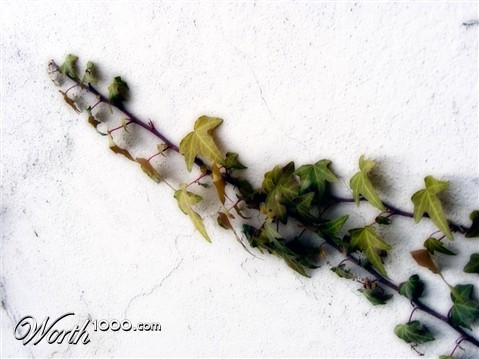 Photography by imthinkingoutloud