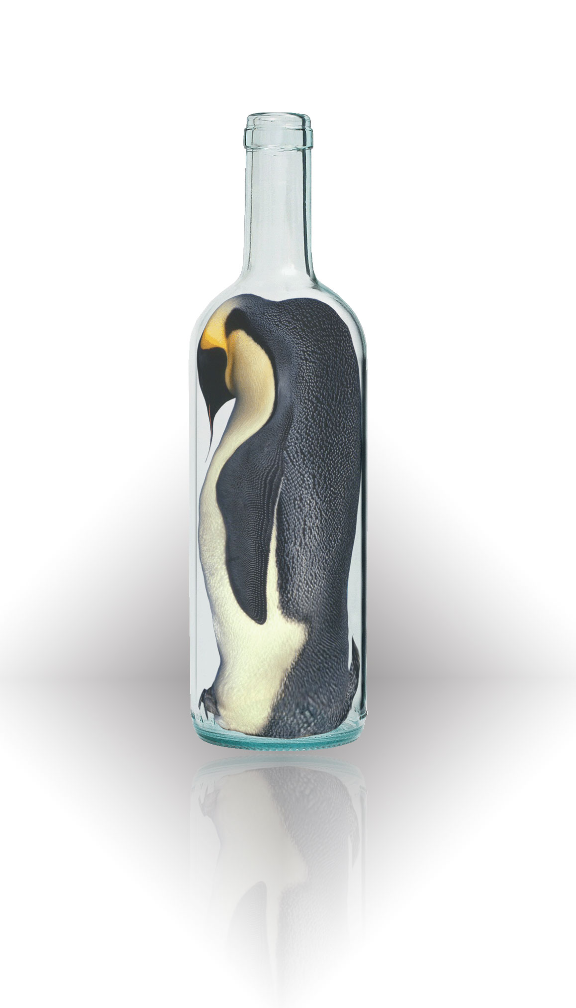 Photoshop Design by Darkwoman for DesignCrowd (Community Contests) | Design #8988151