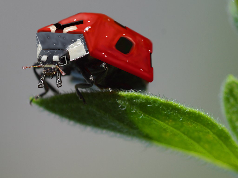 Photoshop Design by BlueHeron for DesignCrowd (Community Contests) | Design #8989674