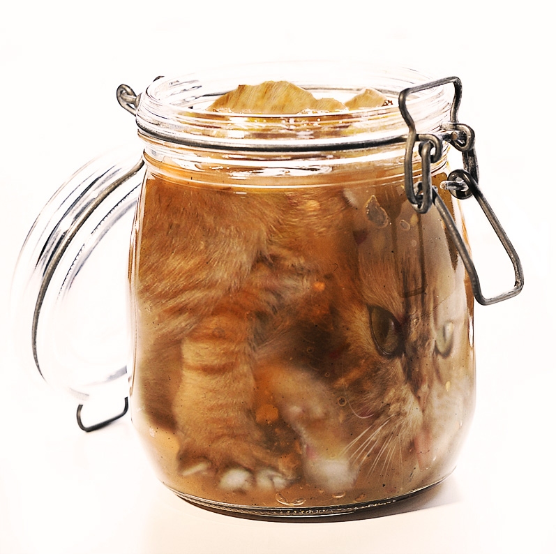 Photoshop Design by hygienteknikern for DesignCrowd (Community Contests) | Design #8988155