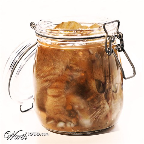 Photoshop Design by hygienteknikern