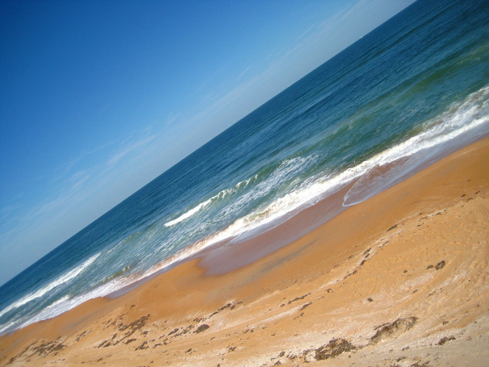 Fotografie von hollistereagle8 für DesignCrowd (Community Contests) | Design #8988990