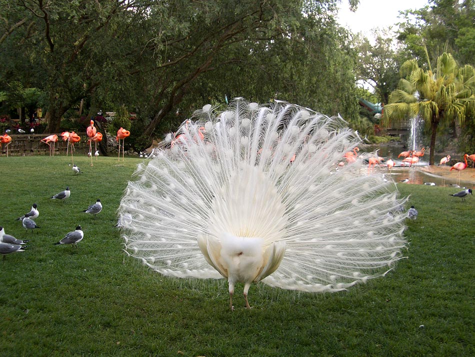 Photography by pinkfly for DesignCrowd (Community Contests) | Design #8988365