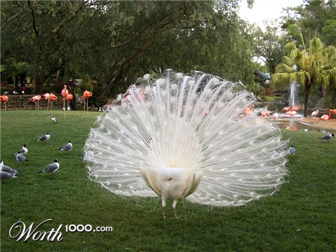 Photography by pinkfly