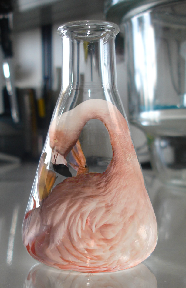 Design Photoshop par Zakfuego pour DesignCrowd (Community Contests) | Design #8988190