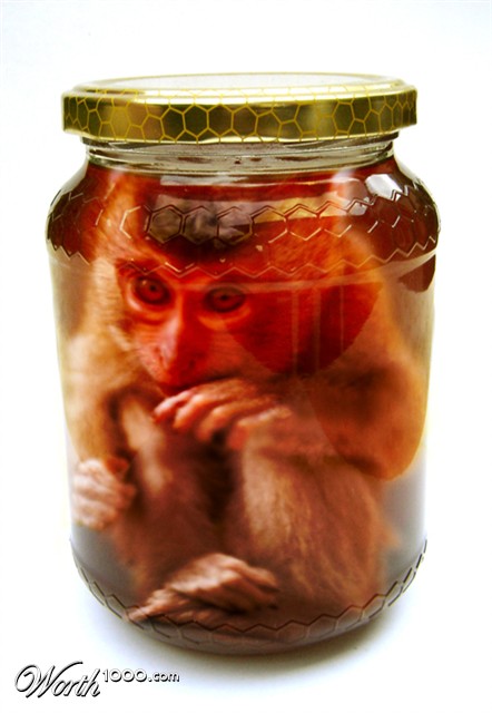 Photoshop Design by JosDvd
