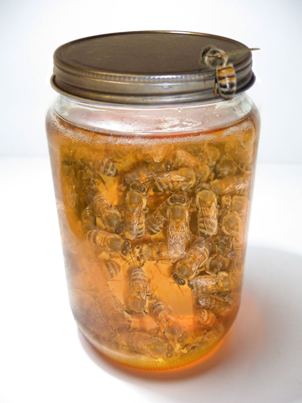 Photoshop Design by DanKeys for DesignCrowd (Community Contests) | Design #8988211