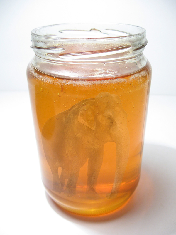 Design Photoshop par sherylphotomagic pour DesignCrowd (Community Contests) | Design #8988199