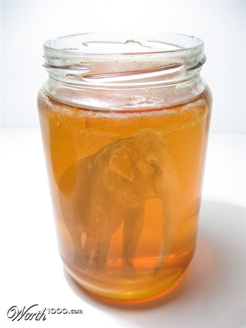 Photoshop Design by sherylphotomagic