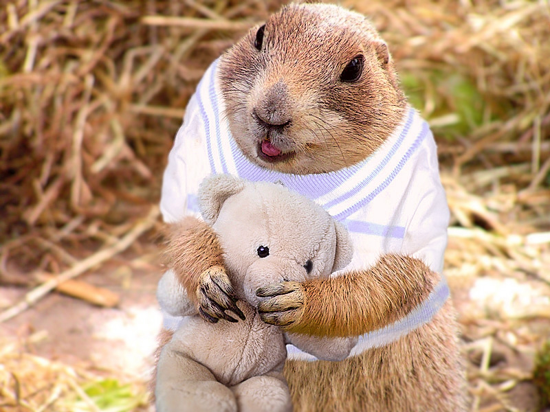 Photoshop-Design von subhani für DesignCrowd (Community Contests) | Design #8983604