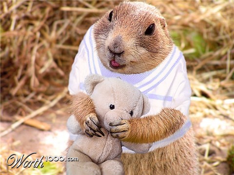 Photoshop Design by subhani