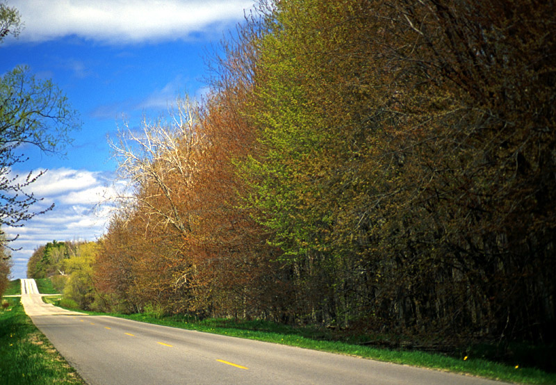 Photographie par northman pour DesignCrowd (Community Contests) | Design #8988987