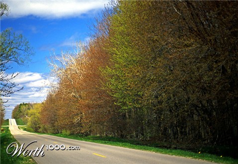 Photography by northman