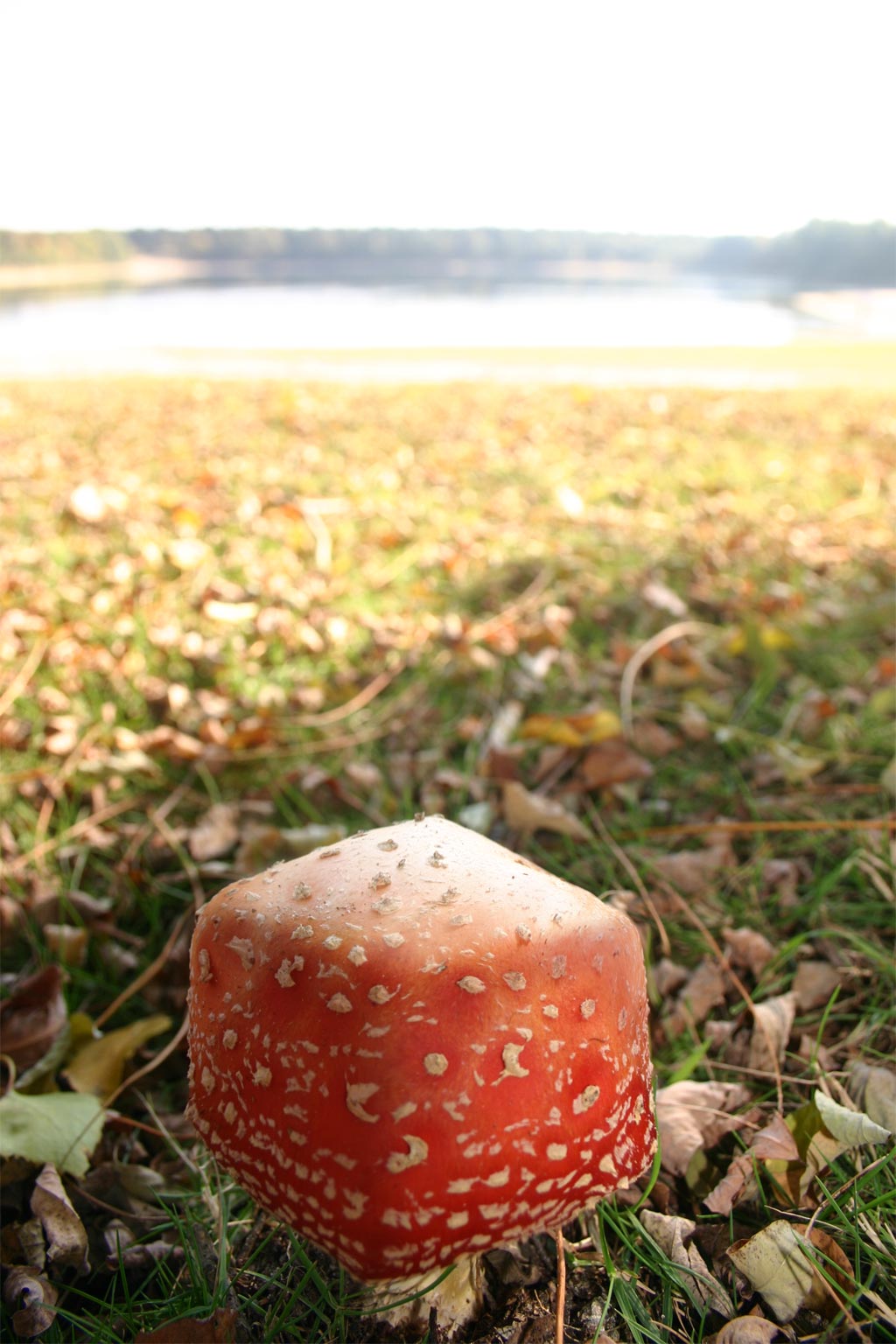 Photoshop-Design von Unodarling für DesignCrowd (Community Contests) | Design #8989741