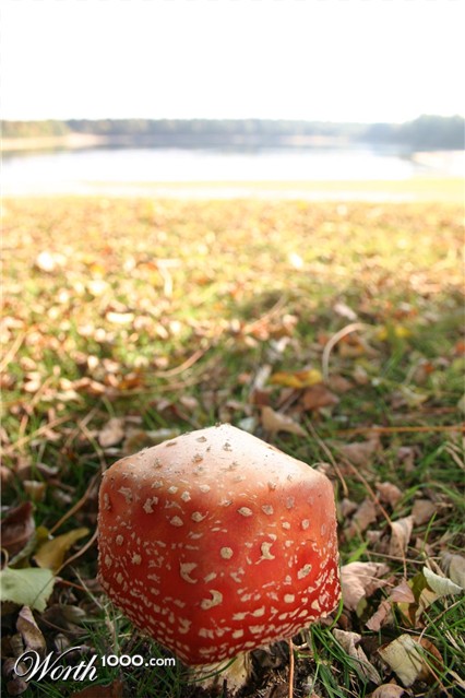 Photoshop Design by Unodarling