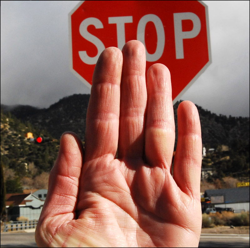 Photography by ClickChick for DesignCrowd (Community Contests) | Design #8989532