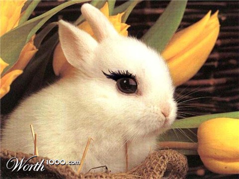 Photoshop Design by PeterAAAWelch