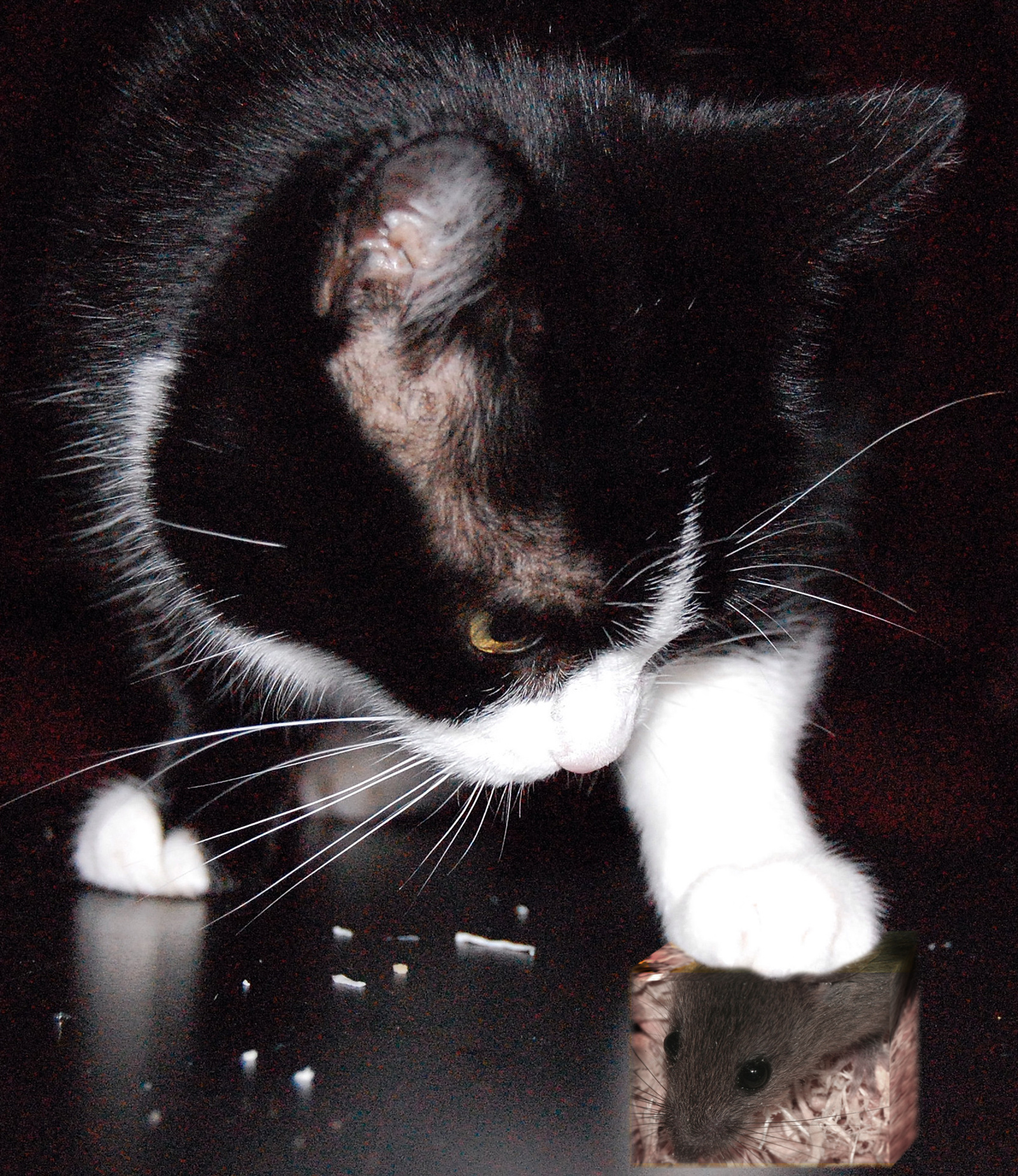 Design Photoshop par jaysin777 pour DesignCrowd (Community Contests) | Design #8989772