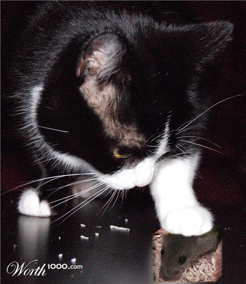 Photoshop Design by jaysin777