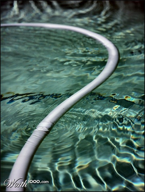 Photography by Juicer