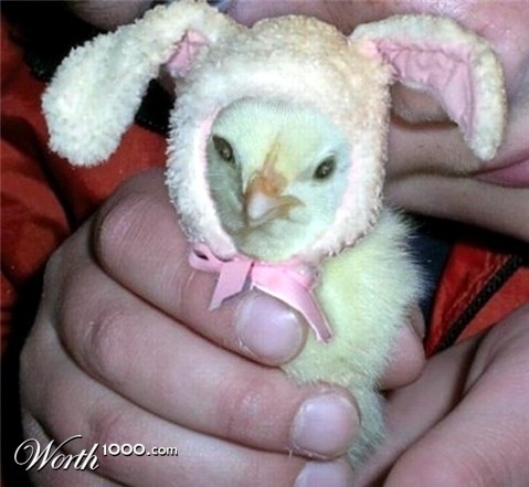 Photoshop Design by LadyHawk771