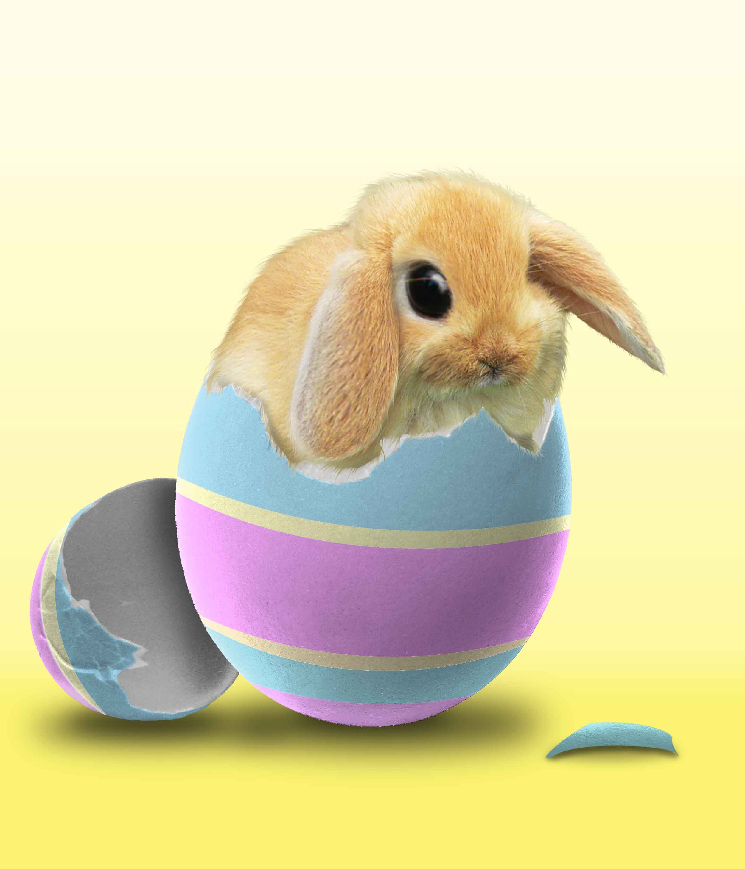 Photoshop Design by Monkeysniffer08 for DesignCrowd (Community Contests) | Design #8983614