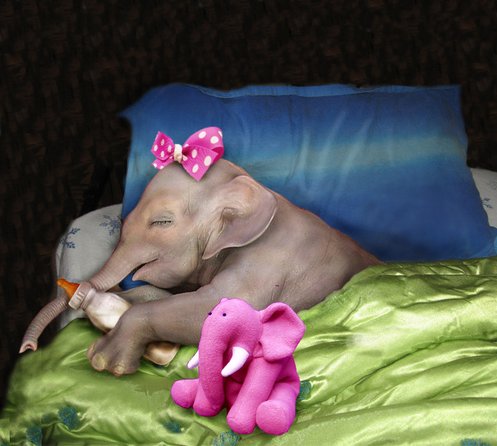 Design Photoshop par pvictory pour DesignCrowd (Community Contests) | Design #8983608