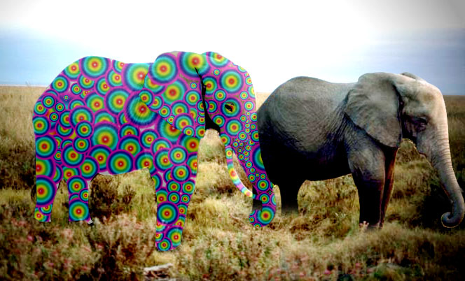 Photoshop Design by saransa for DesignCrowd (Community Contests) | Design #8983619