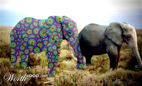 Photoshop Design by saransa