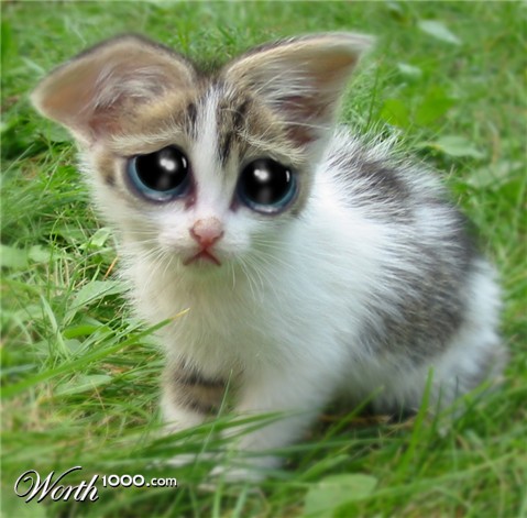 Photoshop Design by DerekBurns