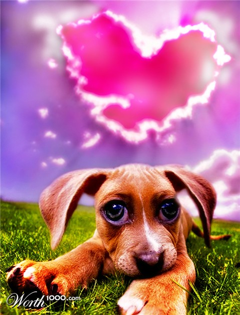 Photoshop Design by mjhaylor