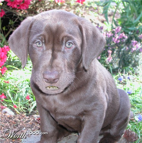 Photoshop Design by jaysin777