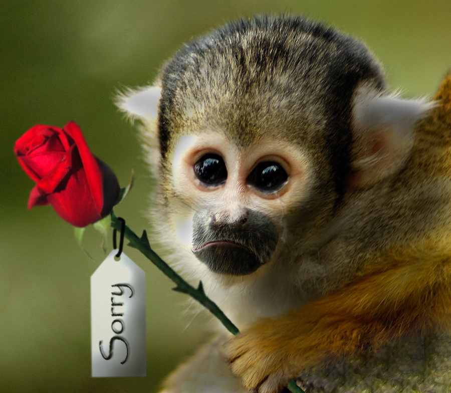 Diseño de Photoshop por Zakfuego para DesignCrowd (Community Contests) | Diseño #8983626