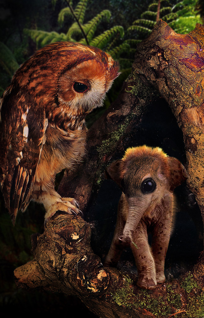 Photoshop-Design von cameon für DesignCrowd (Community Contests) | Design #8983620